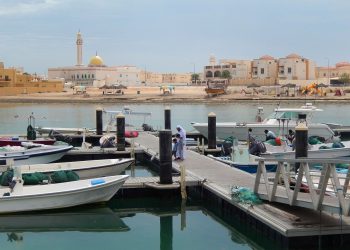 شهر الخور، میزبان جام جهانی